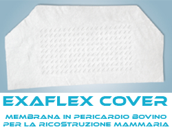 exaflex anteprima